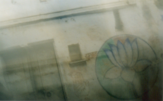 lotus-op-muur.jpg